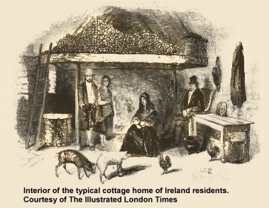 The Losty Family Genealogy Website